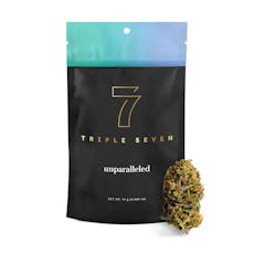 777 | Blue Gelato (H) Flower Buds | 14g