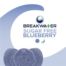 Sugar Free Blueberry Gummies (10pk) (100mg)
