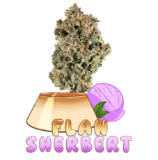 3.5G Flan Sherbert