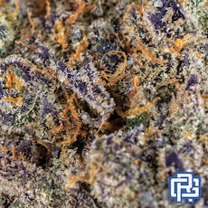 Swamp Sweat Flower | Love Mary