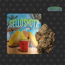 Seed Junky Genetics | Gello Shotz - 3.5g Flower