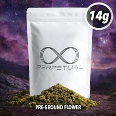Perpetual | Splat #4 | Ready To Roll | 14g
