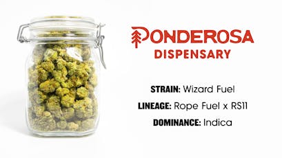 Sonoran Roots Bulk Flower Sativa Tangie Kandy Cookies
