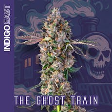 Indigo East | The Ghost Train (I-H) Flower Smalls | 7g