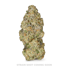 Fenario Farms - Humboldt Uppercut #3