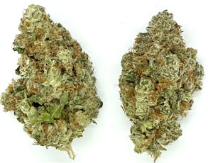 Buds | Alaskan Thunderfuck
