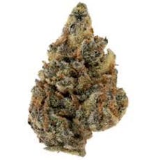 Remedy - Futura Haze