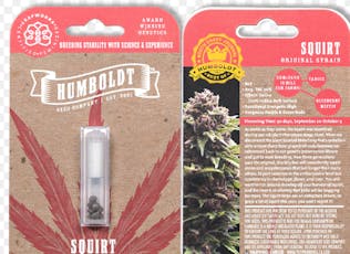 Humboldt Feminized Squirt 5 Pack Seeds