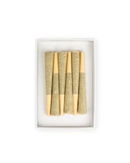 WHITE WIDOW | 6-Pack