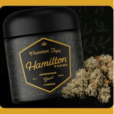 Modified Gary | Hamilton Farms Premium Tap | 3.5g Flower