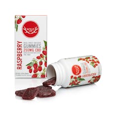 Wyld Huckleberry Hemp CBD Gummies 250mg