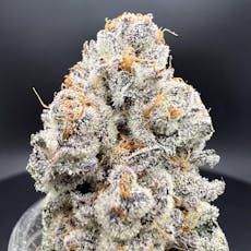Trichome Farms Blizzard King