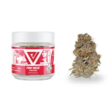 EV | Flower 3.5g | S | Point Break