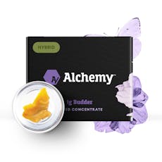 Alchemy Cured Budder 1g - Sherbanger