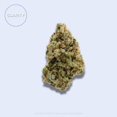 Bermuda Triangle | Bronze Tier