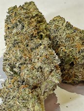 Grape Pie x Animal Cookies