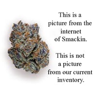 Smackin' SHAKE (H) - Grow Inc 94