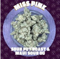 Miss Pink - Flight Shelf Flower