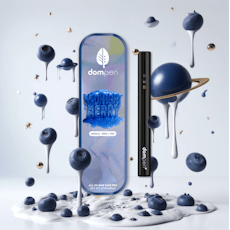 Dompen | Midnight Berry | Disposable Vape | 1g