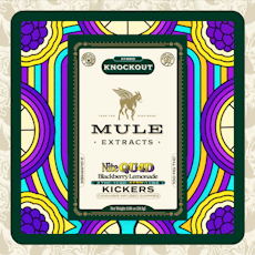 Mule Extracts | Blackberry Lemonade Nite QU4D | 2:1:4:1 THC:CBD:CBN:CBG | Gummies | 2pk | 100mg
