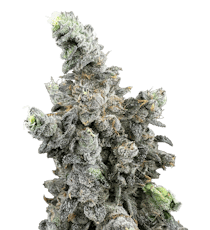 Vanilla Zoap | Deli Style