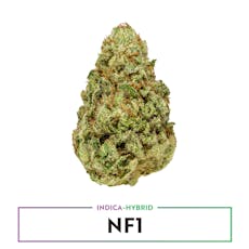 NF1