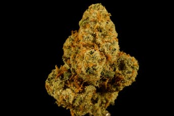 Juicy Runtz