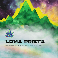 Emerald Visions | Loma Prieta | 1g Bulk Pre-Roll