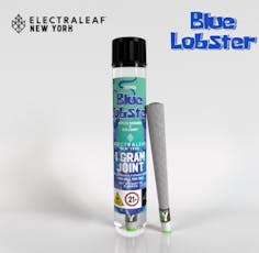 ELECTRALEAF | BLUE LOBSTER | PRE-ROLL | 1G