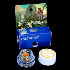 Falcanna CC Badder Orange Blossom 1g