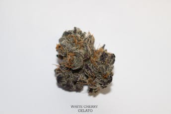 Roemer Farms Flower 3.5g - White Cherry Gelato