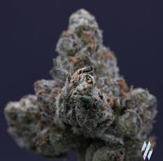 Milk Weed | Catskill Candy | 3.5g