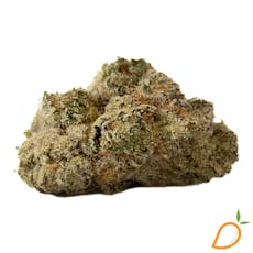 Blue Slushies - Amber Waves Flower