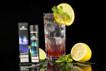 Heavens Peak Punch Drink Mix: Tamarack