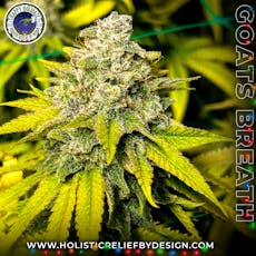 GoatsBreath-Flower-|Sativa|HRBD|1g