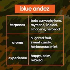 CODES: Flower | Blue Andez | 3.5g