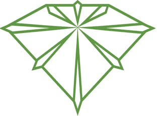 Nefertiti - Sativa - 4g Bitty Bud Pack