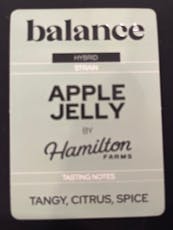 Balance - 10pk/100mg (10mg THC each)