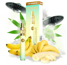 Dime OG | Live Resin Disposable Pen | 1g