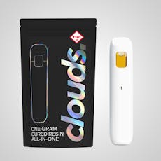 Ice Cream Cake | Cured Resin Disposable