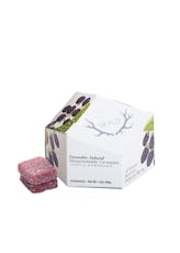 Wyld | Gummies | Marionberry | 100mg