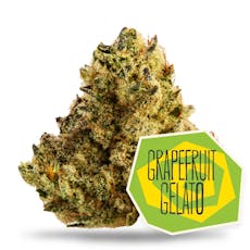 Grapefruit Gelato - 28g - District Cannabis