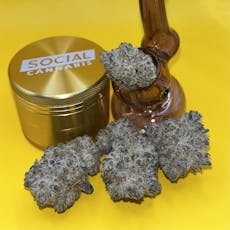 Platinum Shelf - Oreoz (H)