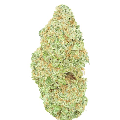 Lemon Tree