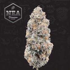 3.5G NEA Sherbert Honey