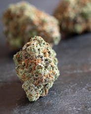Bubblegum x UK Cheese 1/2oz