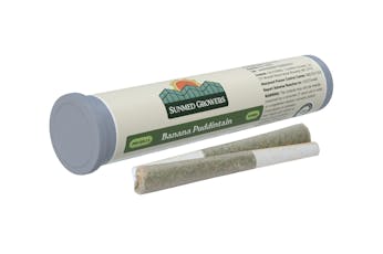 Sunshine #4 | Pre-Rolls | 0.5g x 2
