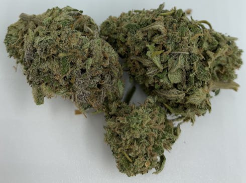 Church 1:1 grown by Prairie Fire Farms