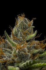 Full Tilt Labs Black Cherry Punch