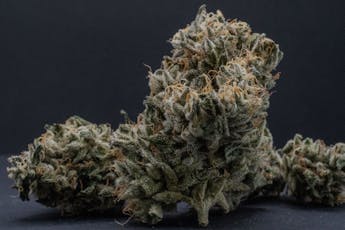 Bud Hub Jack Herer Buds